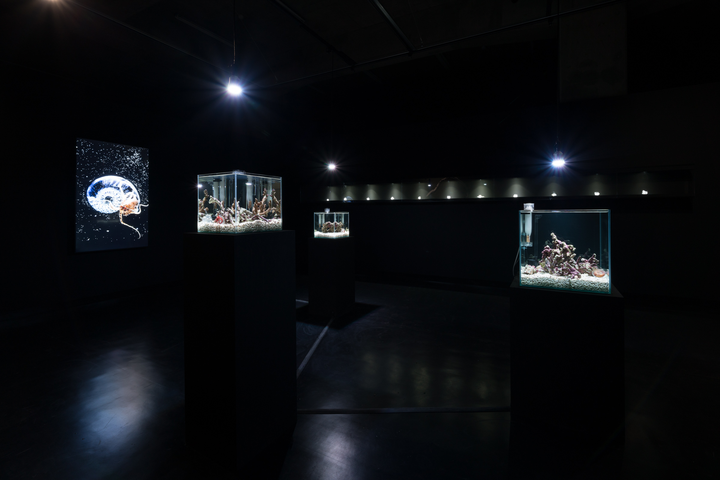 Installation view of group exhibition “Asian Art Award 2018 supported by Warehouse TERRADA - Finalist Exhibition”