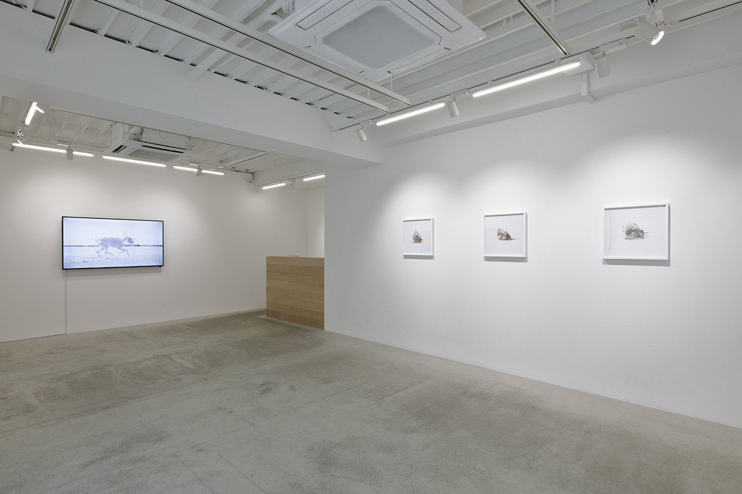 Installation view