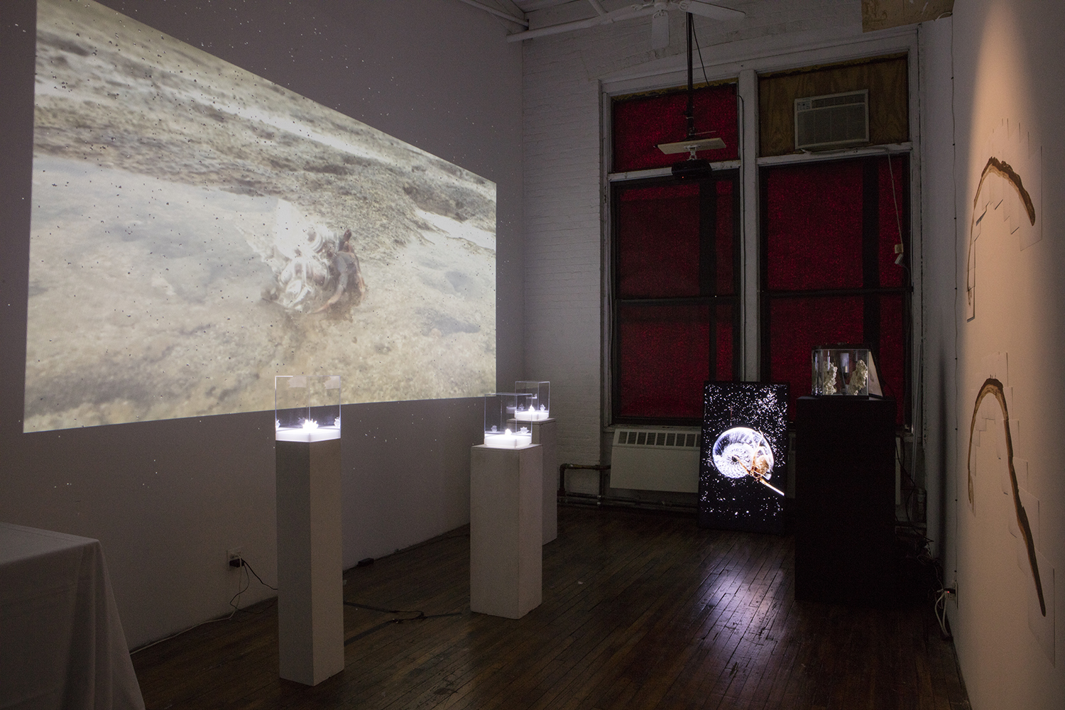 Installation view