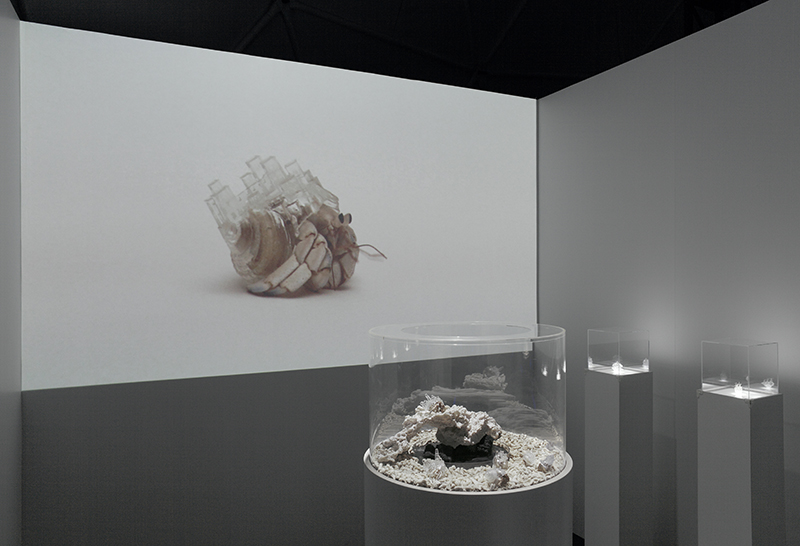 Installation view