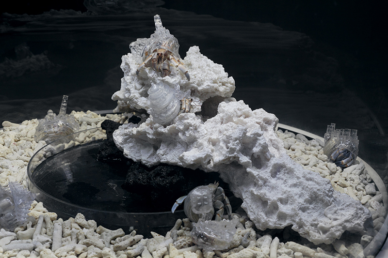 Installation view