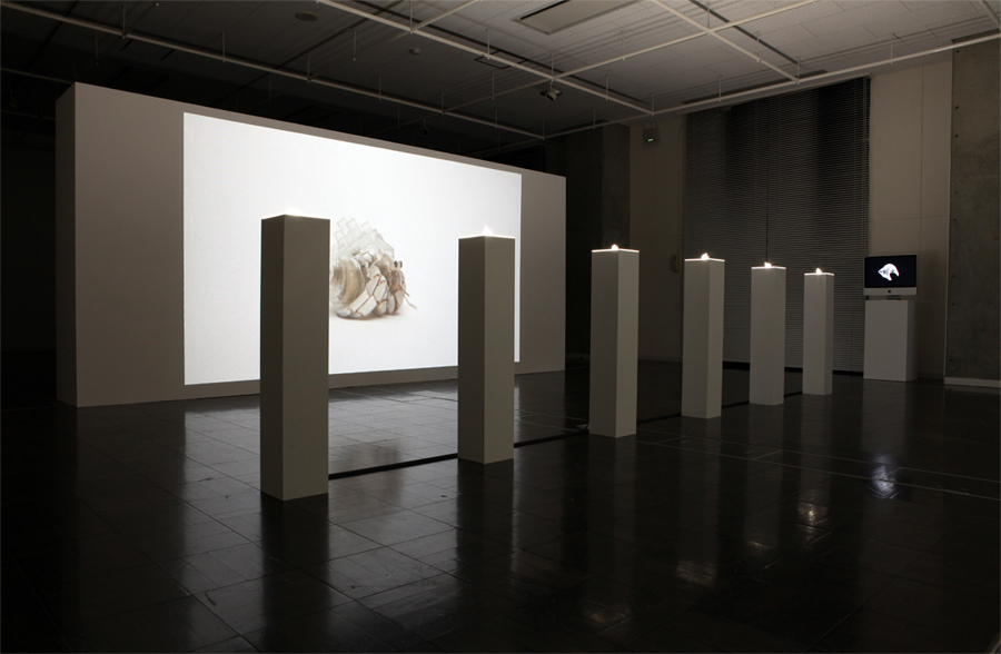 Installation view