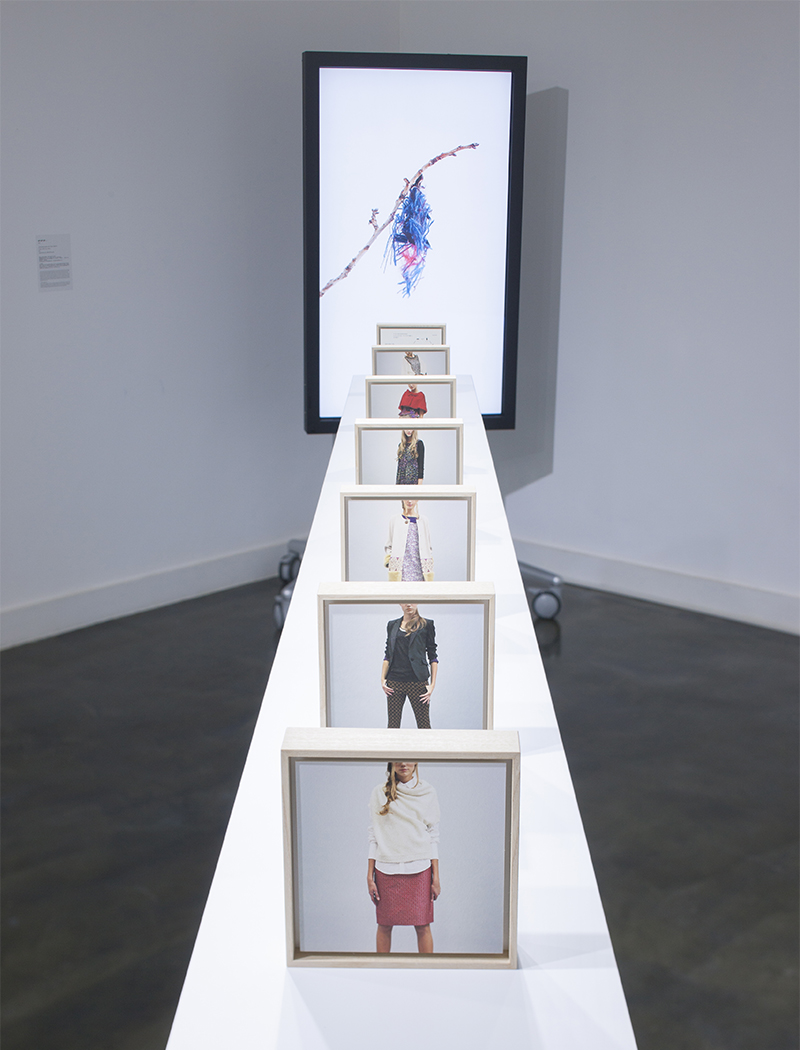 Installation view