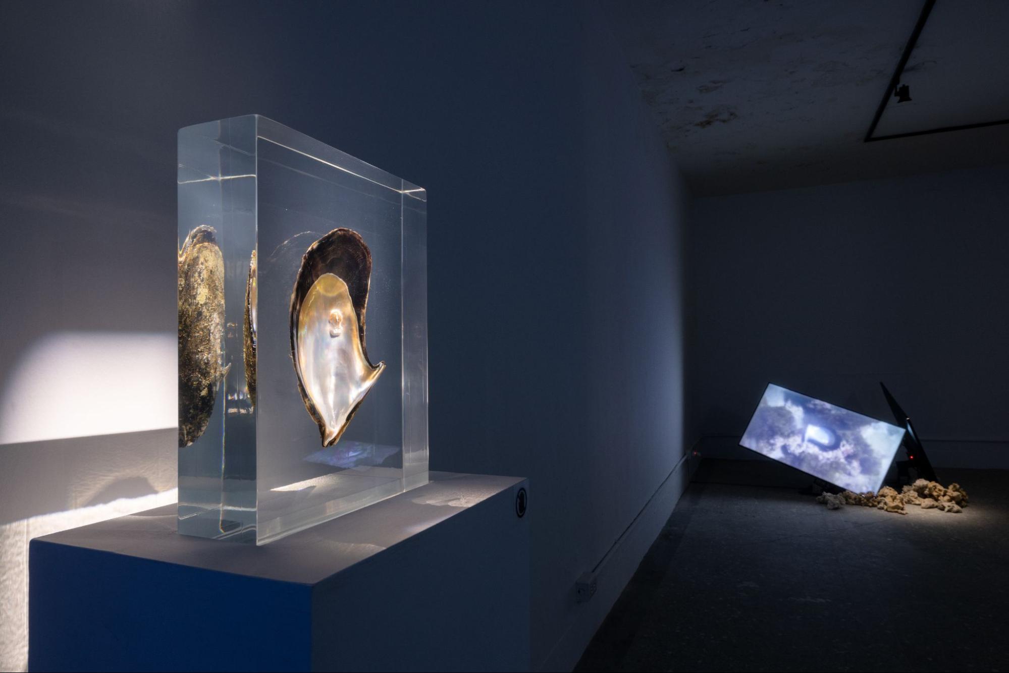 Installation view