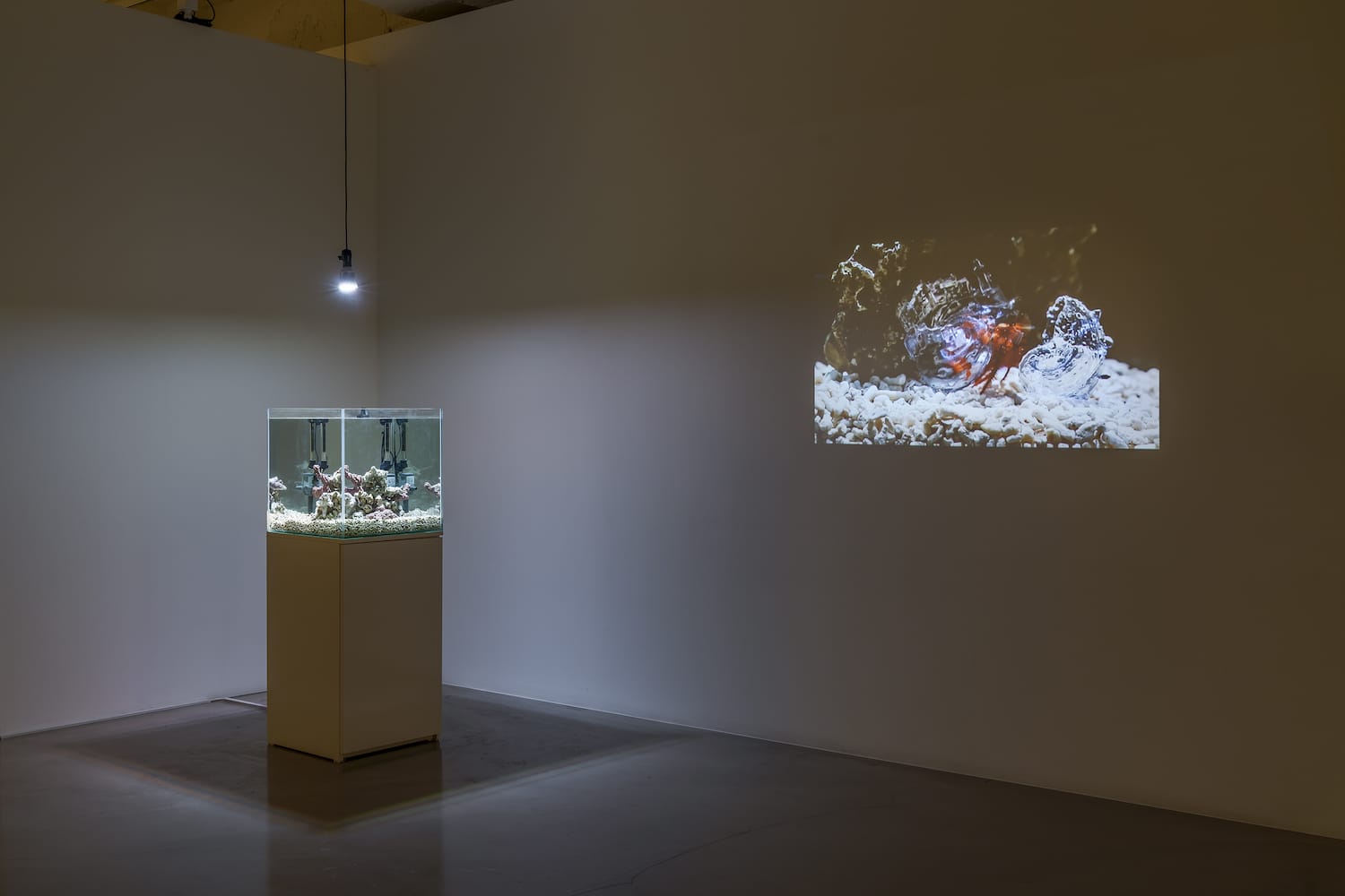 Installation view