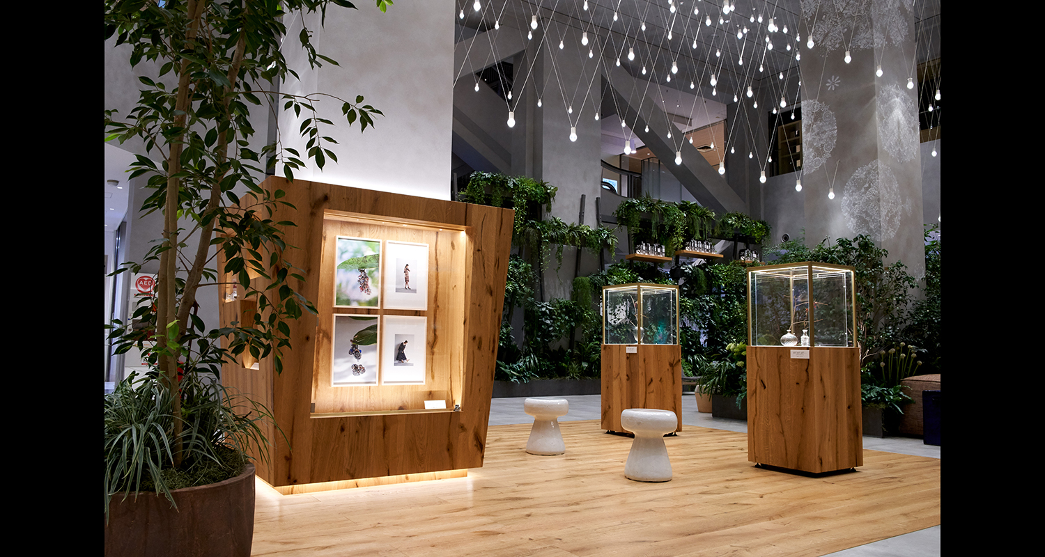 Installation view
