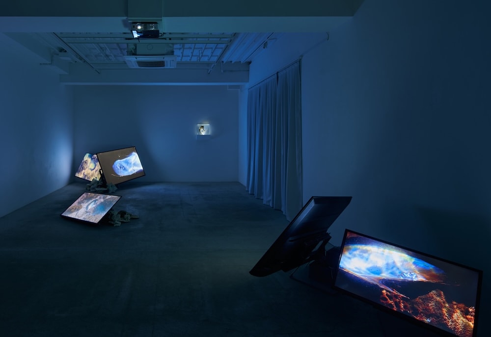 Exhibit: Maho Kubota Gallery, 2021