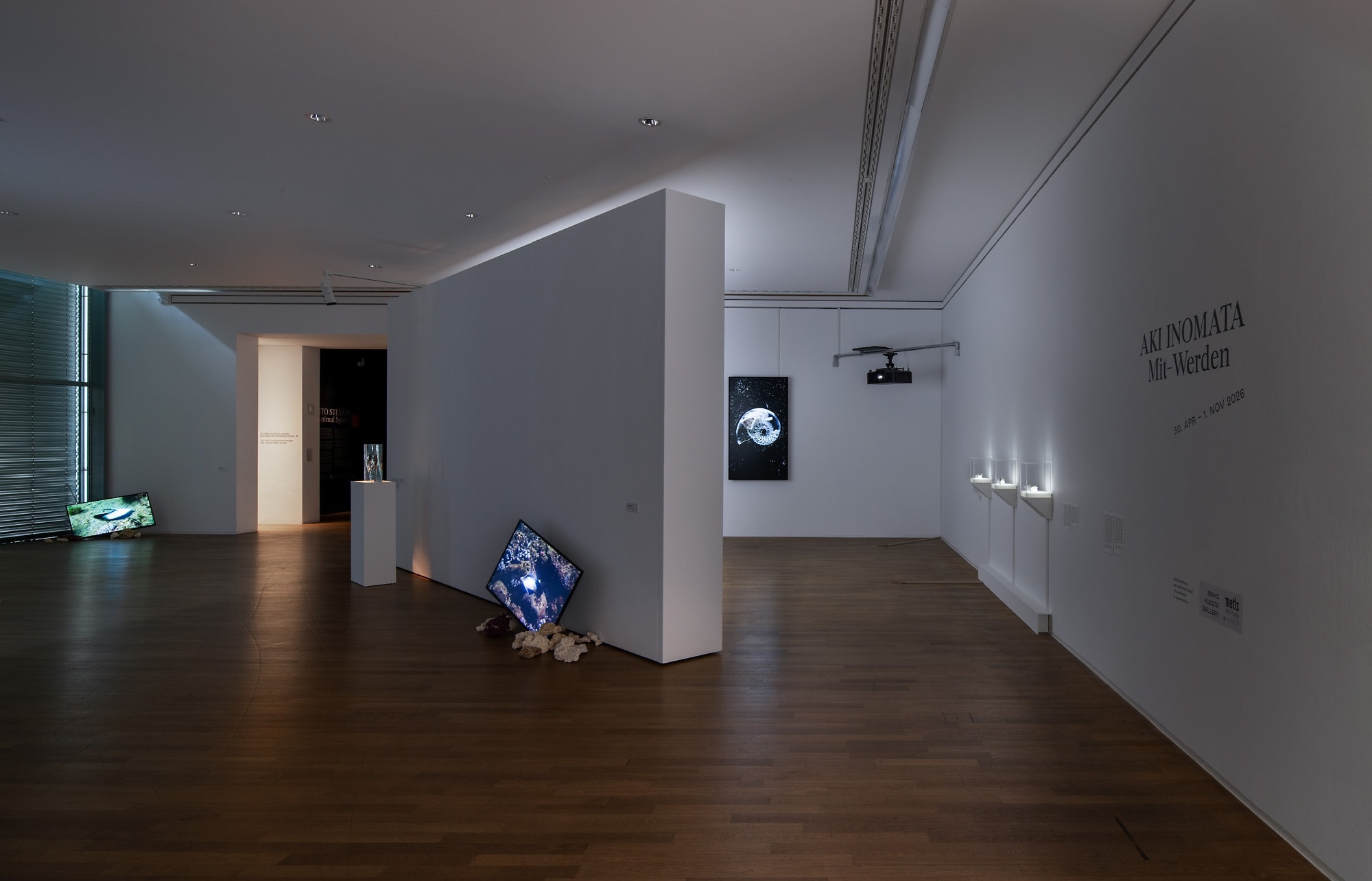 Installation view of ”Kunstmuseum Bonn, 2026”
