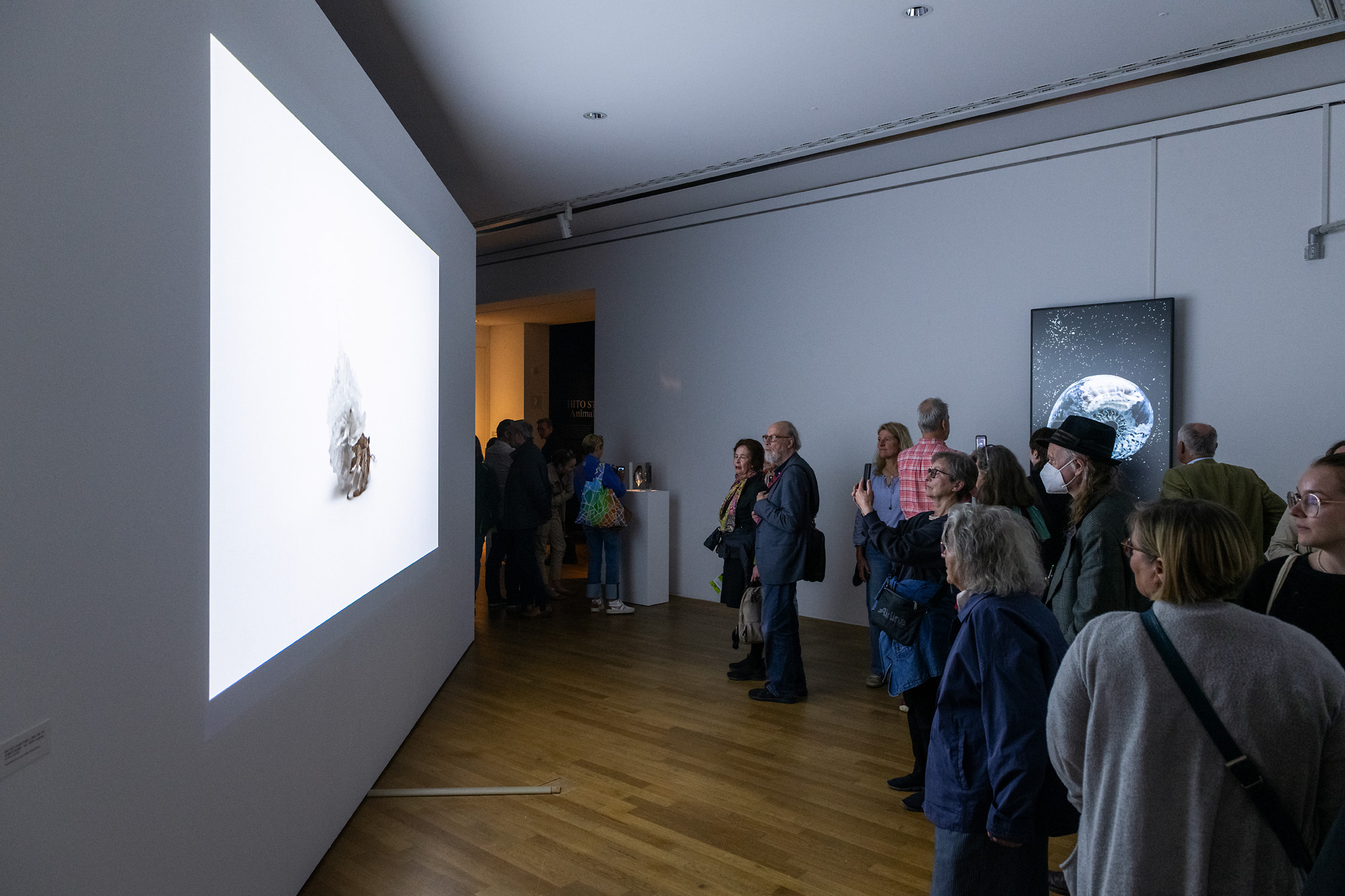 Installation view of ”Kunstmuseum Bonn, 2026”