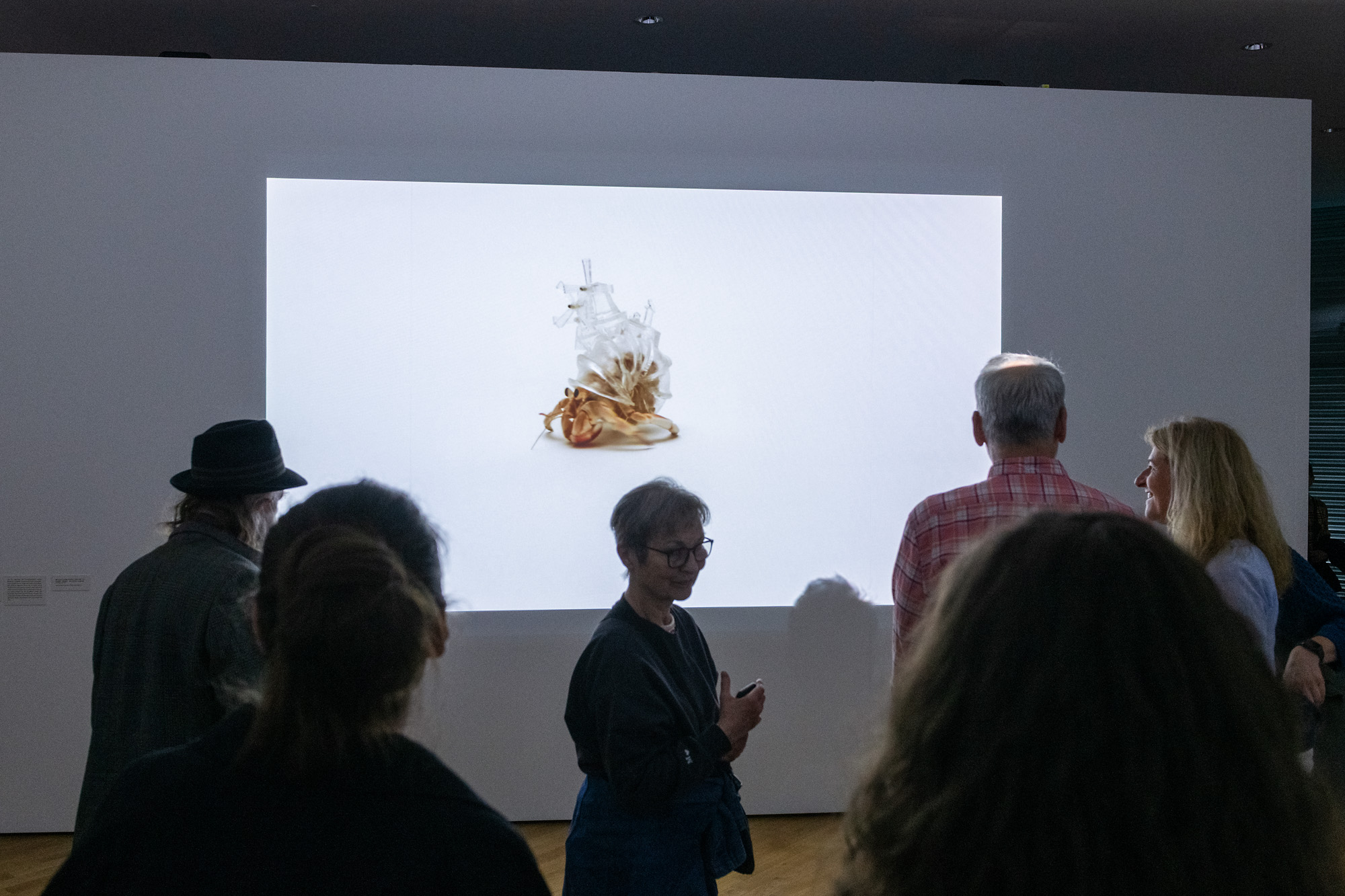 Installation view of ”Kunstmuseum Bonn, 2026”