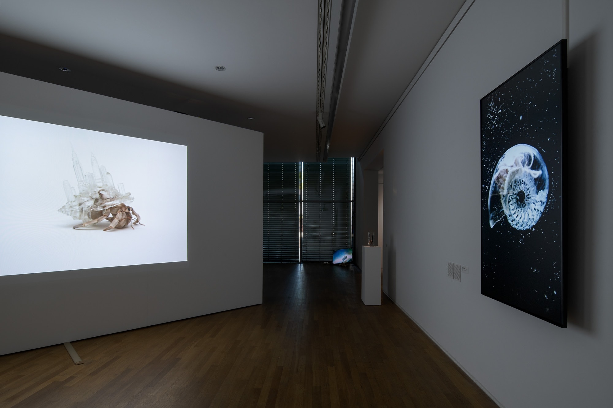 Installation view of ”Kunstmuseum Bonn, 2026”