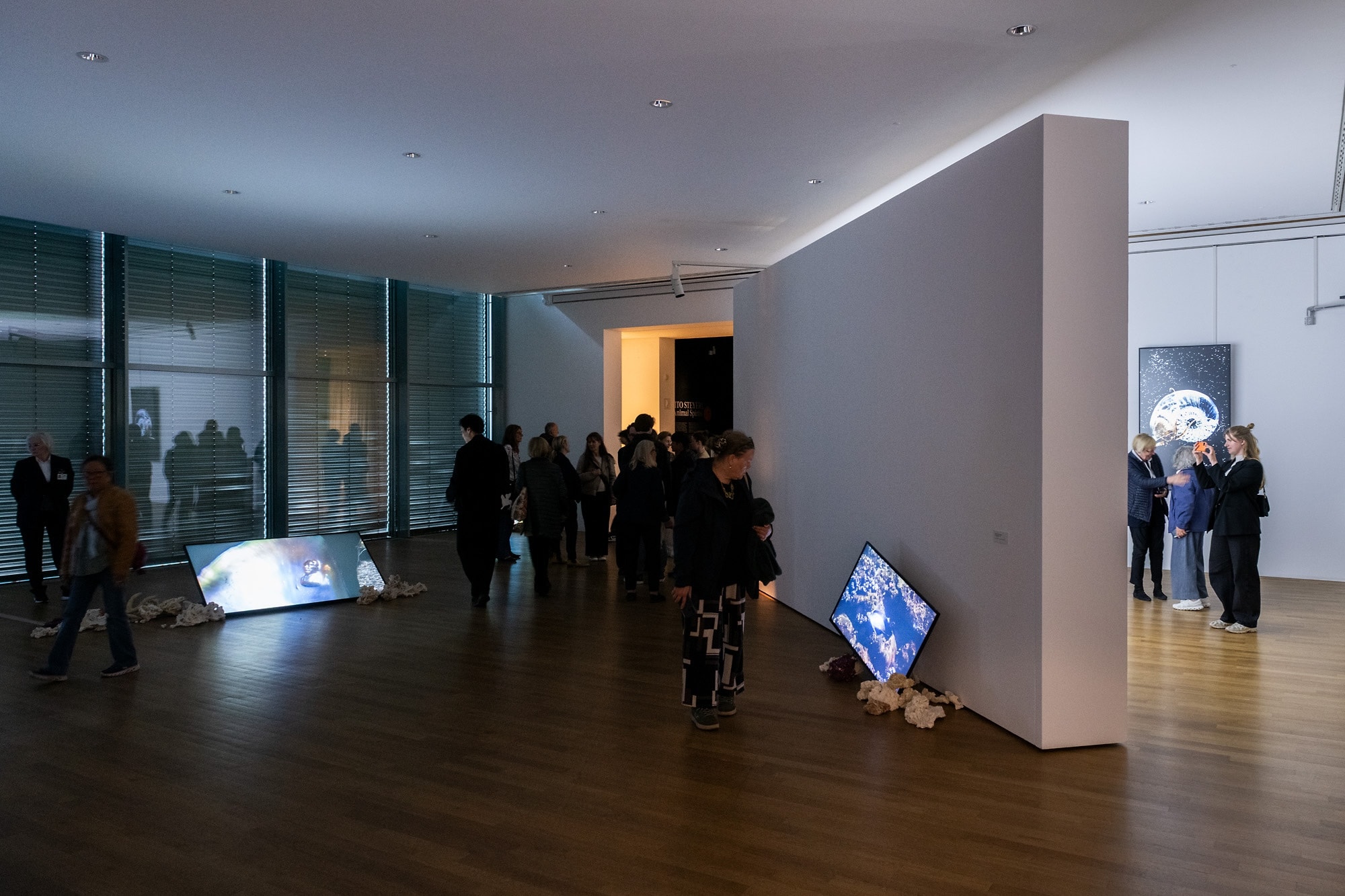 Installation view of ”Kunstmuseum Bonn, 2026”