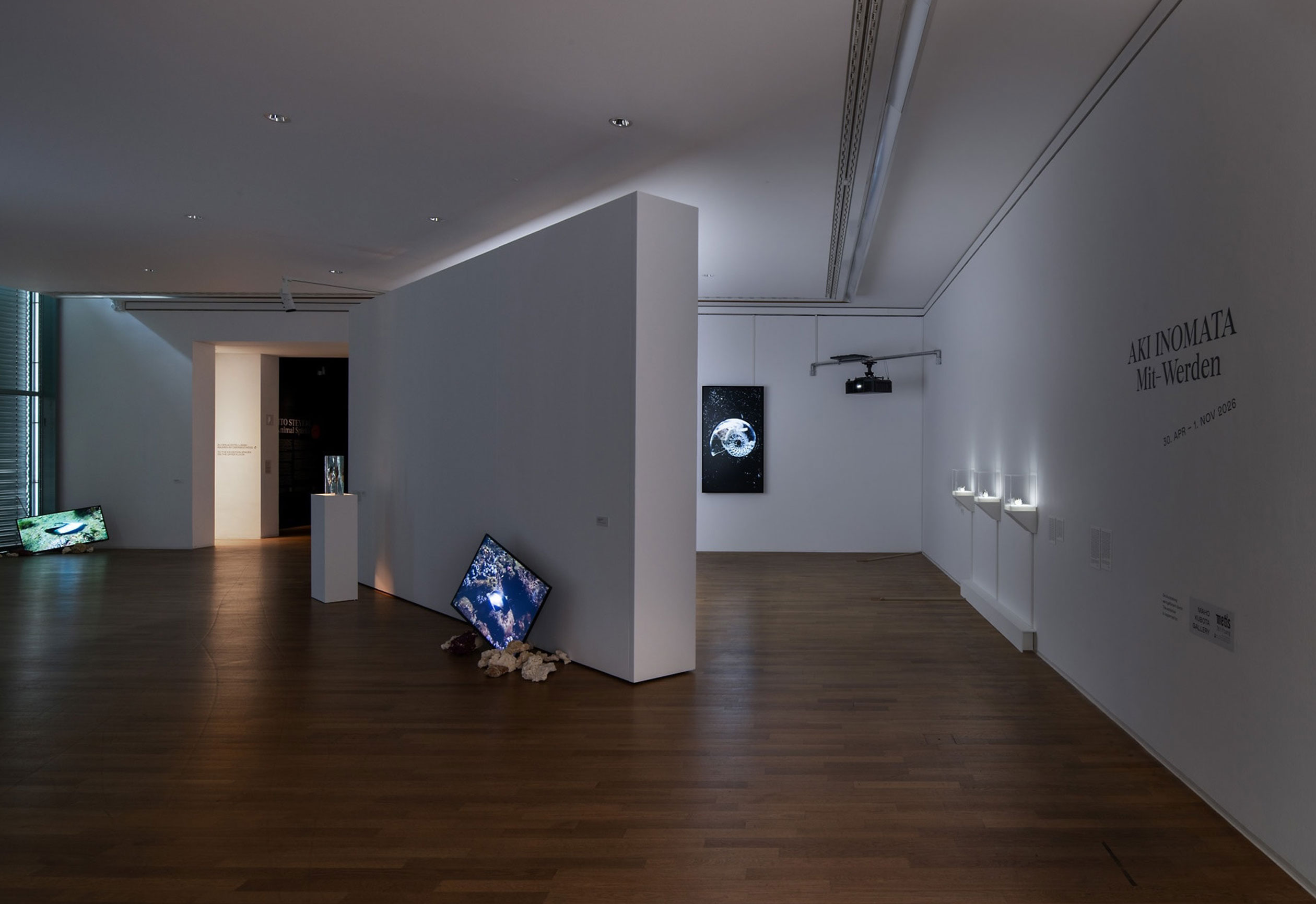 Exhibit: Kunstmuseum Bonn, 2026