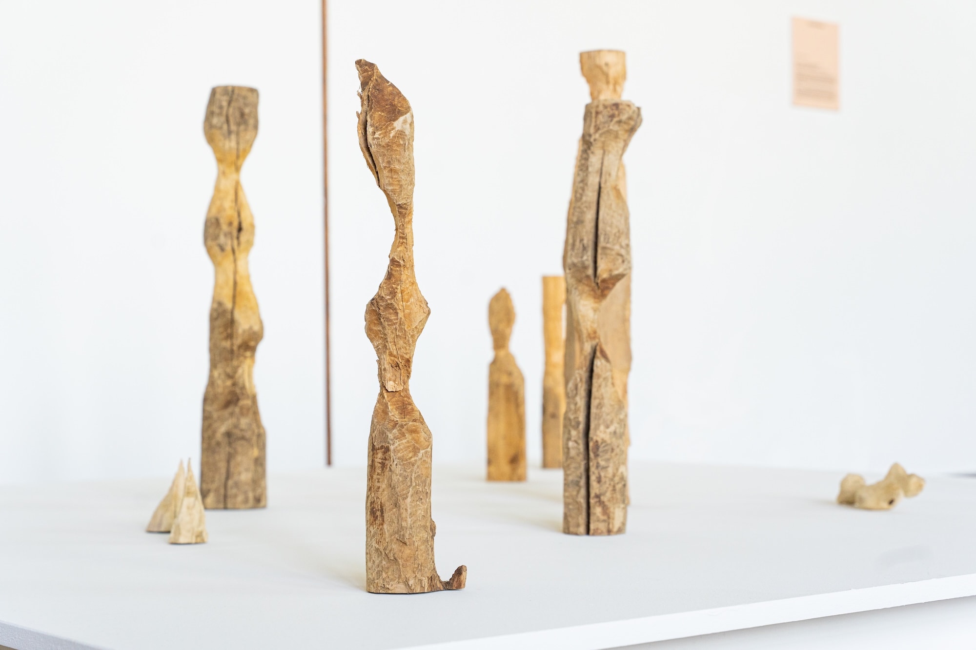 Installation view of ”Medina Triennial ”All That Sustains Us”