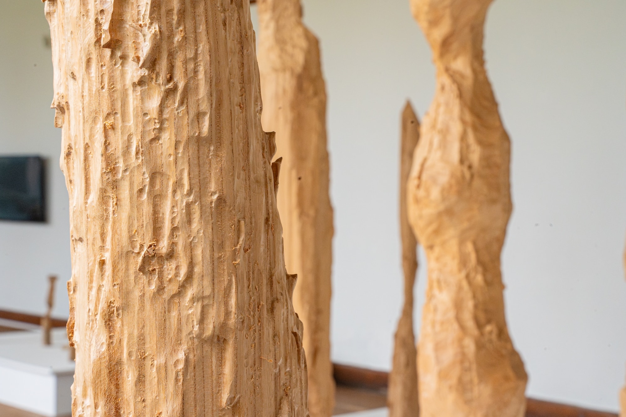 Installation view of ”Medina Triennial ”All That Sustains Us”