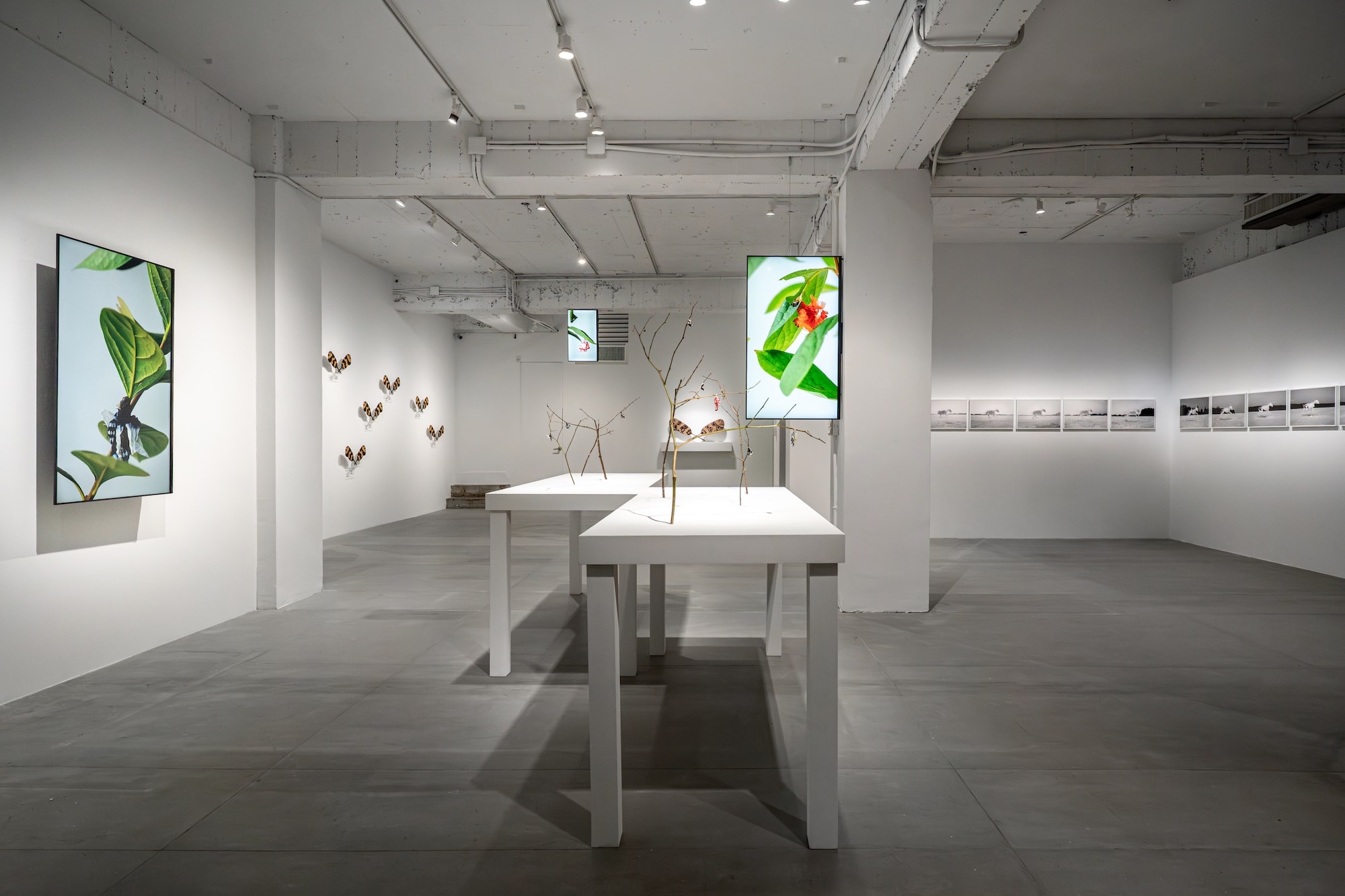 Installation view of “Life at the Threshold”