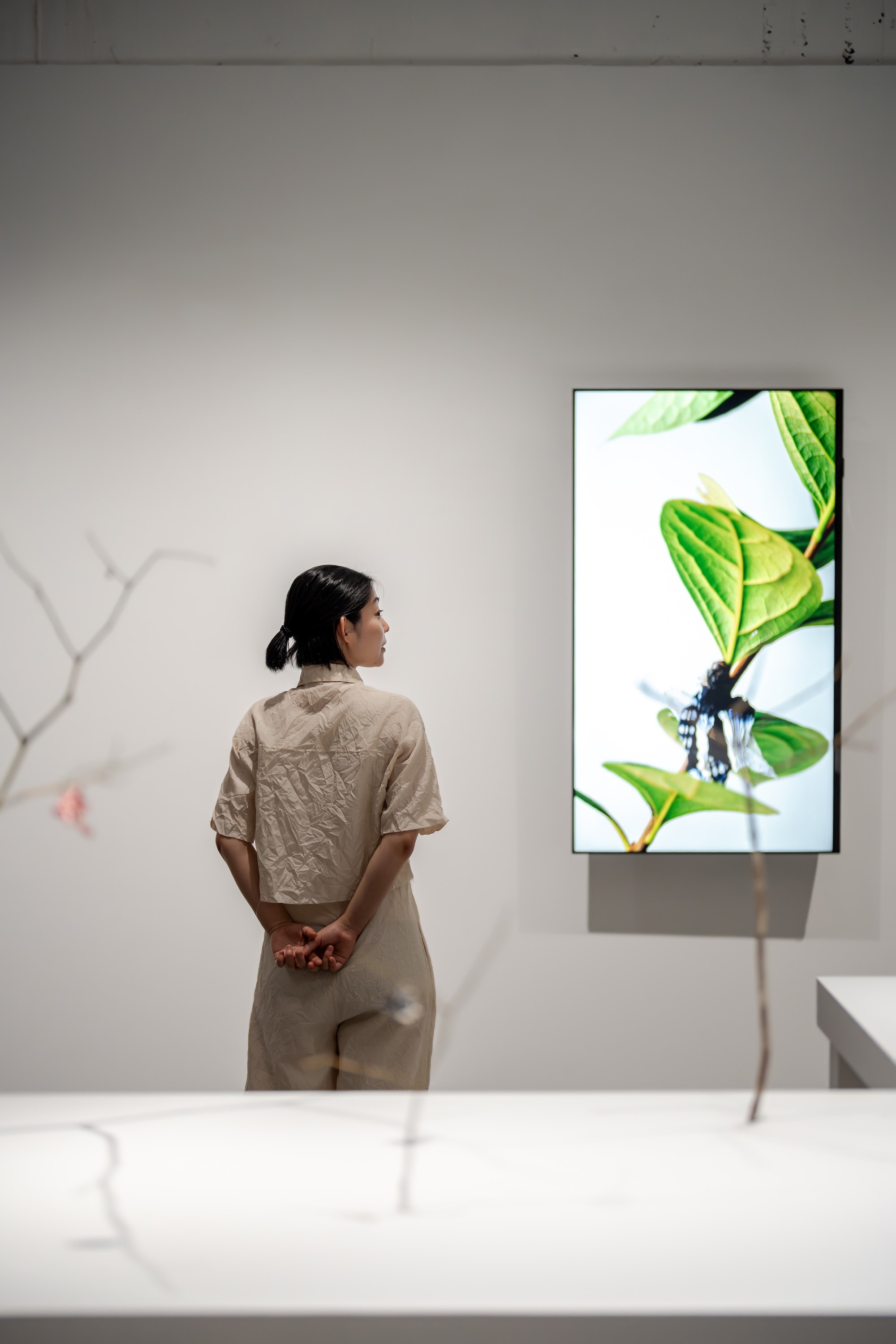 Installation view of “Life at the Threshold”