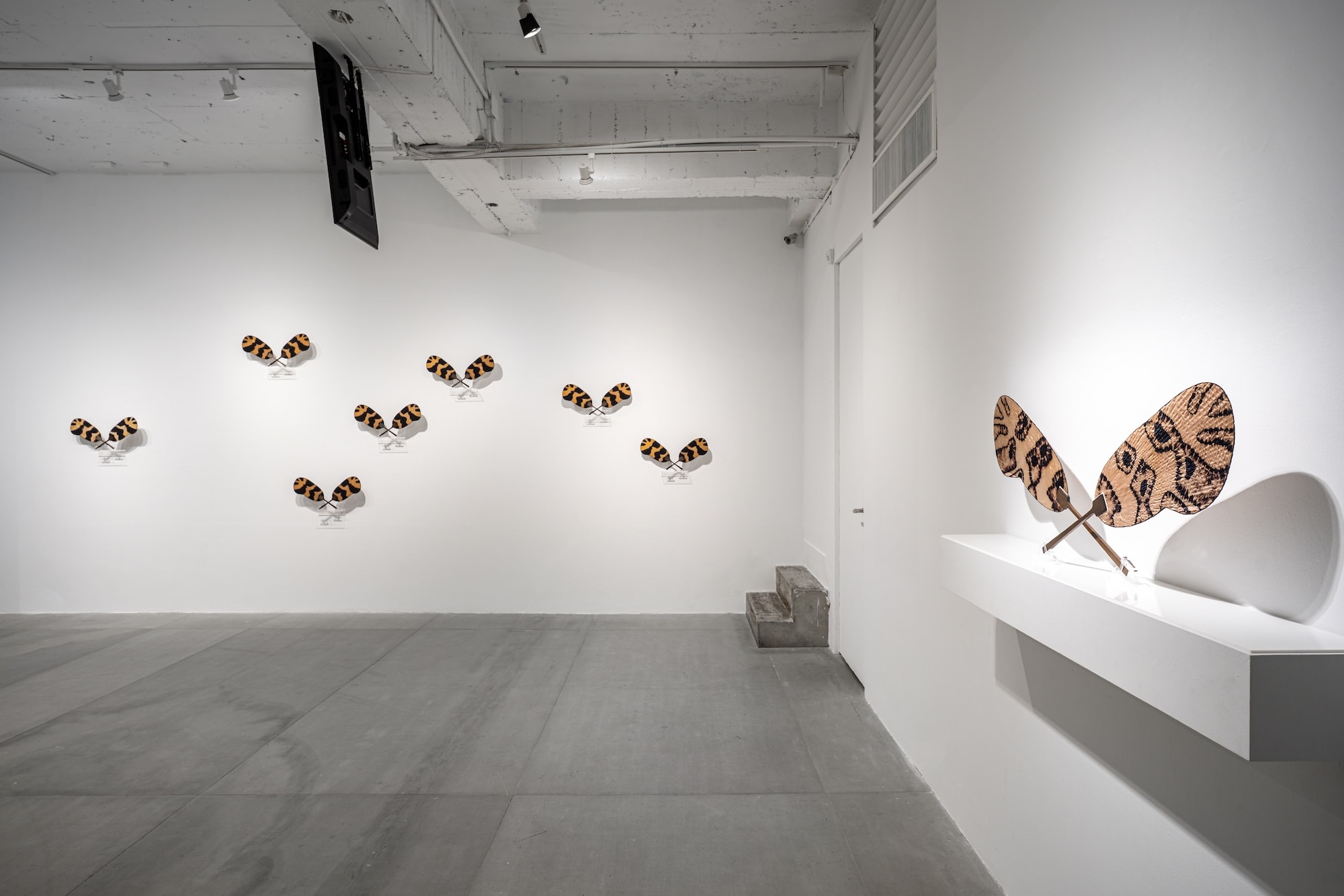 Installation view of “Life at the Threshold”