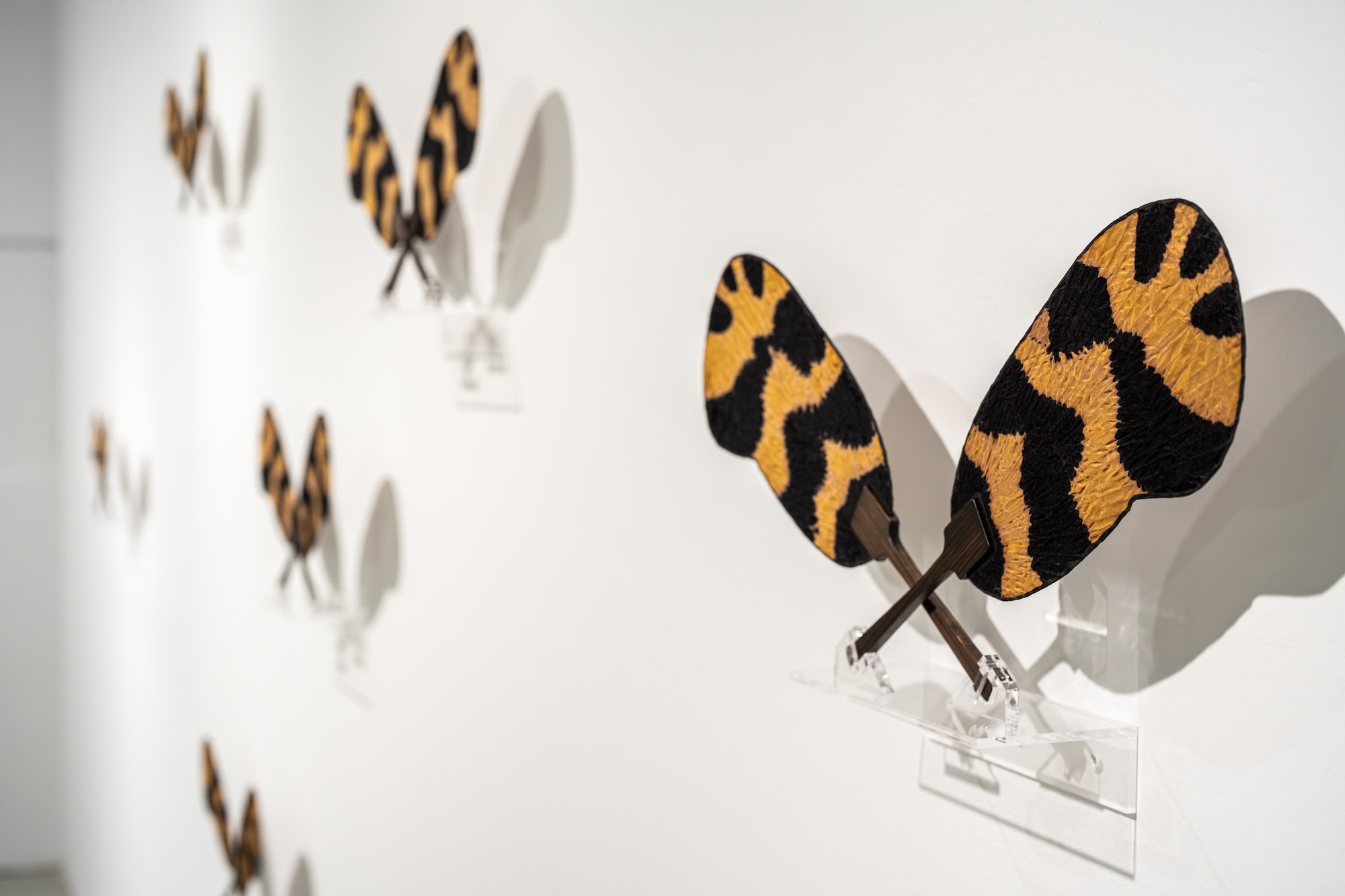 Installation view of “Life at the Threshold”