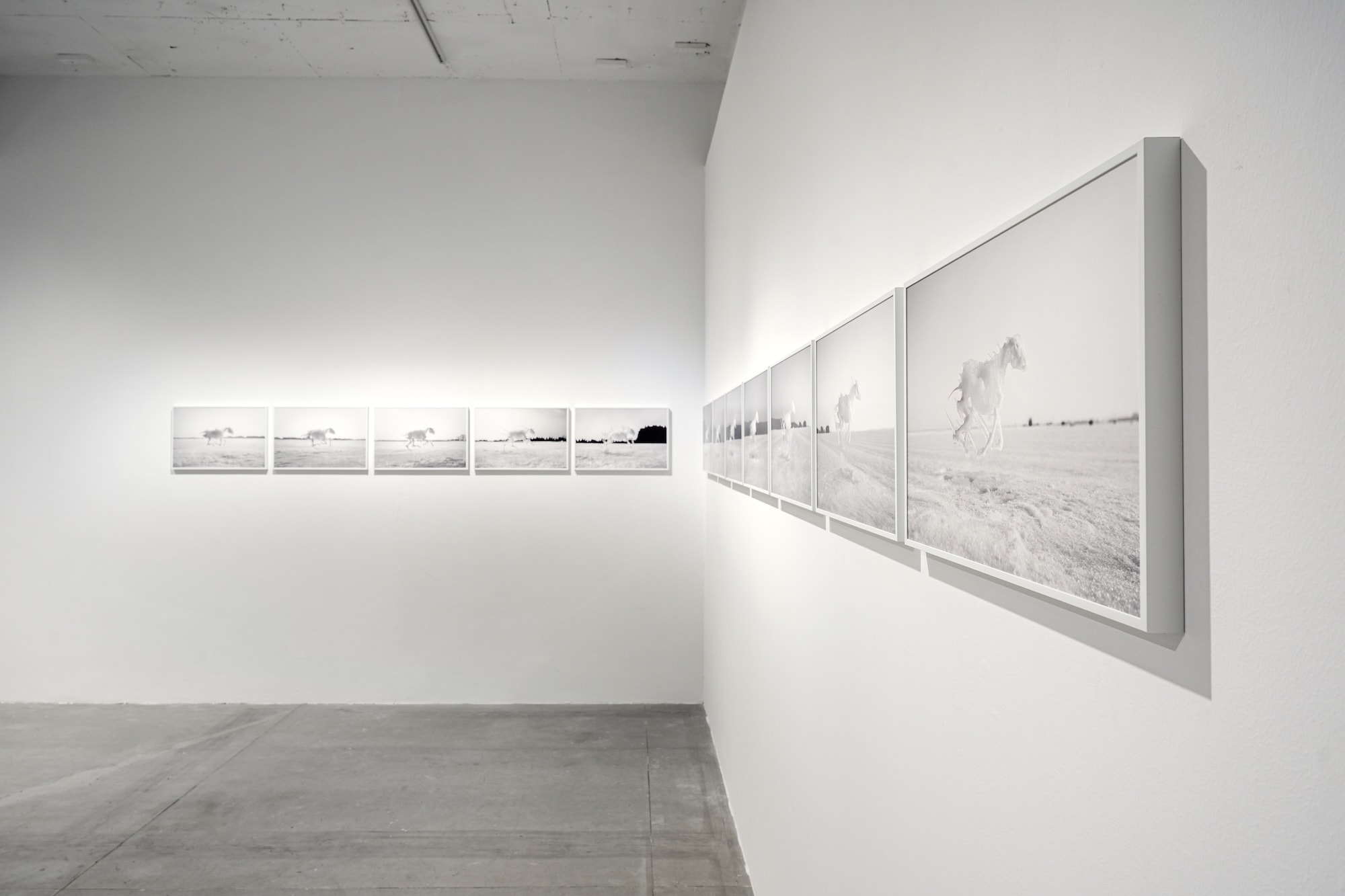 Installation view of “Life at the Threshold”