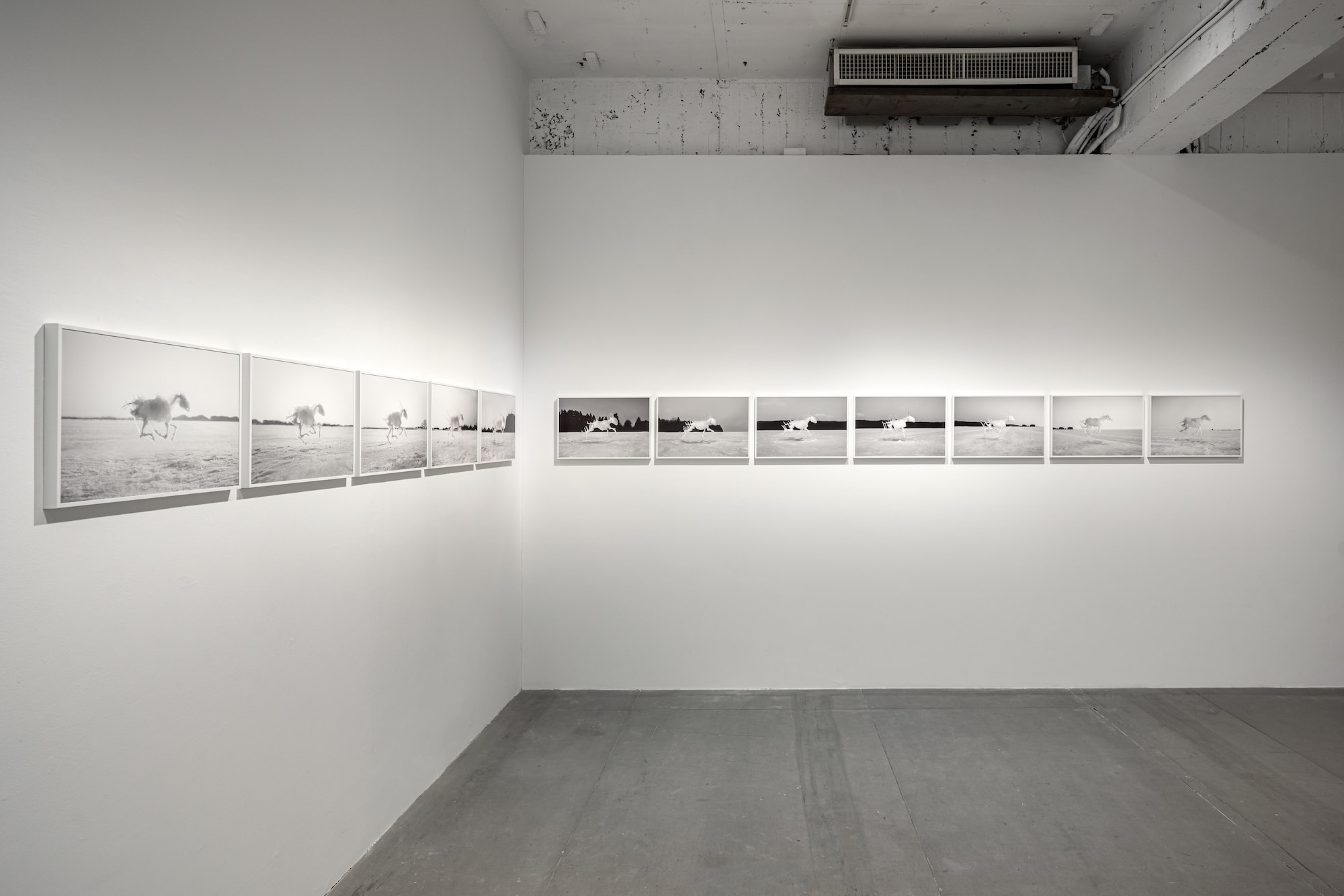 Installation view of “Life at the Threshold”