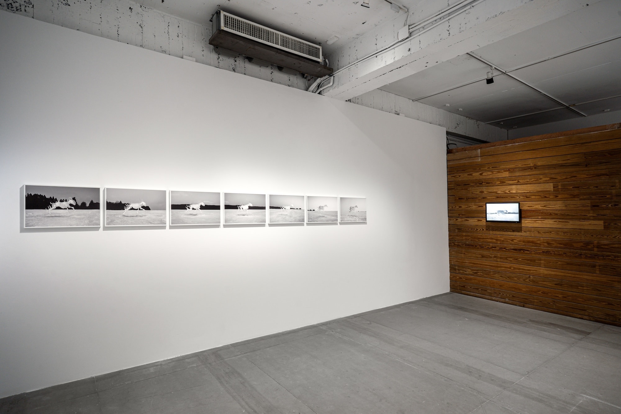 Installation view of “Life at the Threshold”