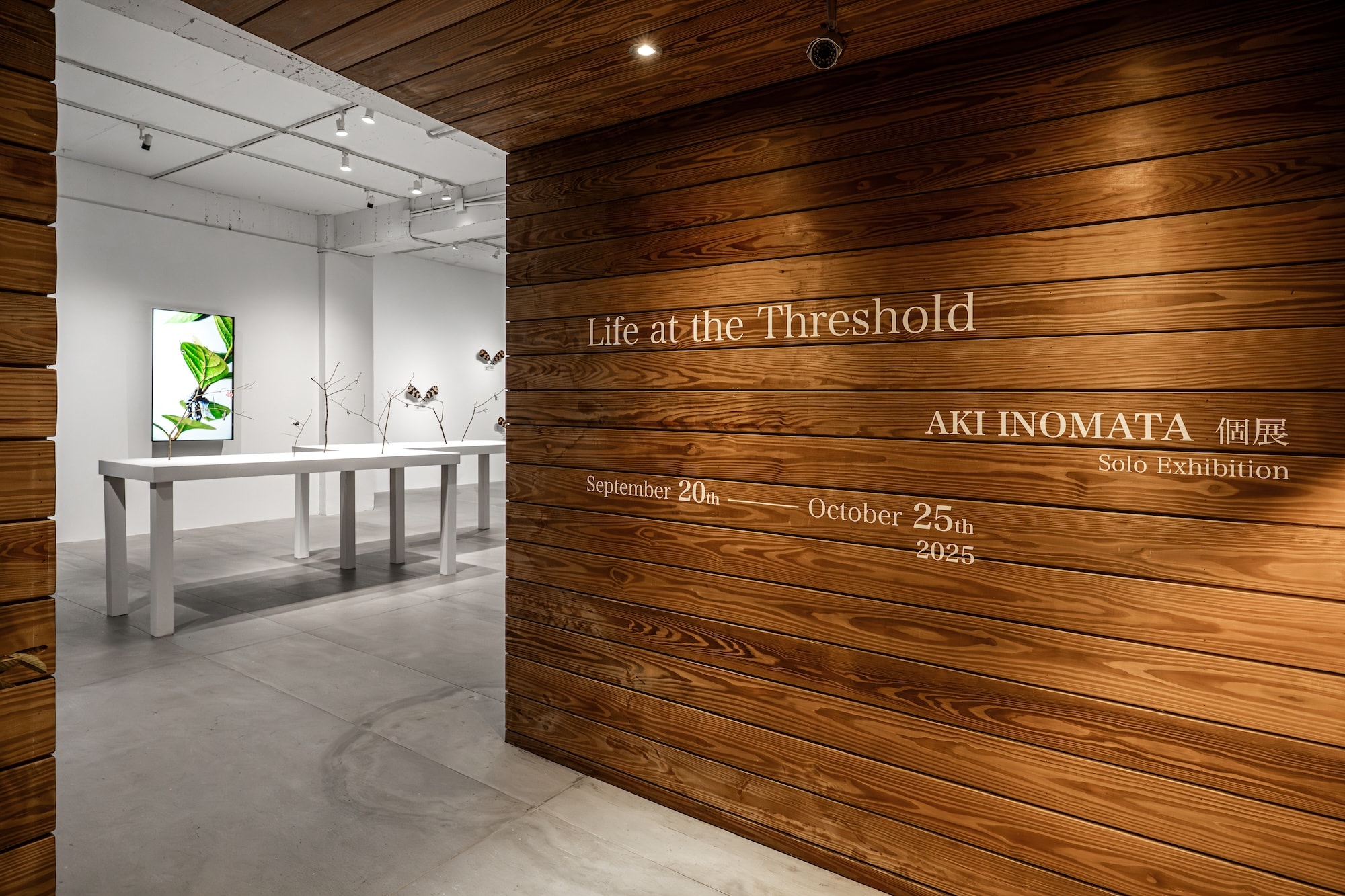 Installation view of “Life at the Threshold”