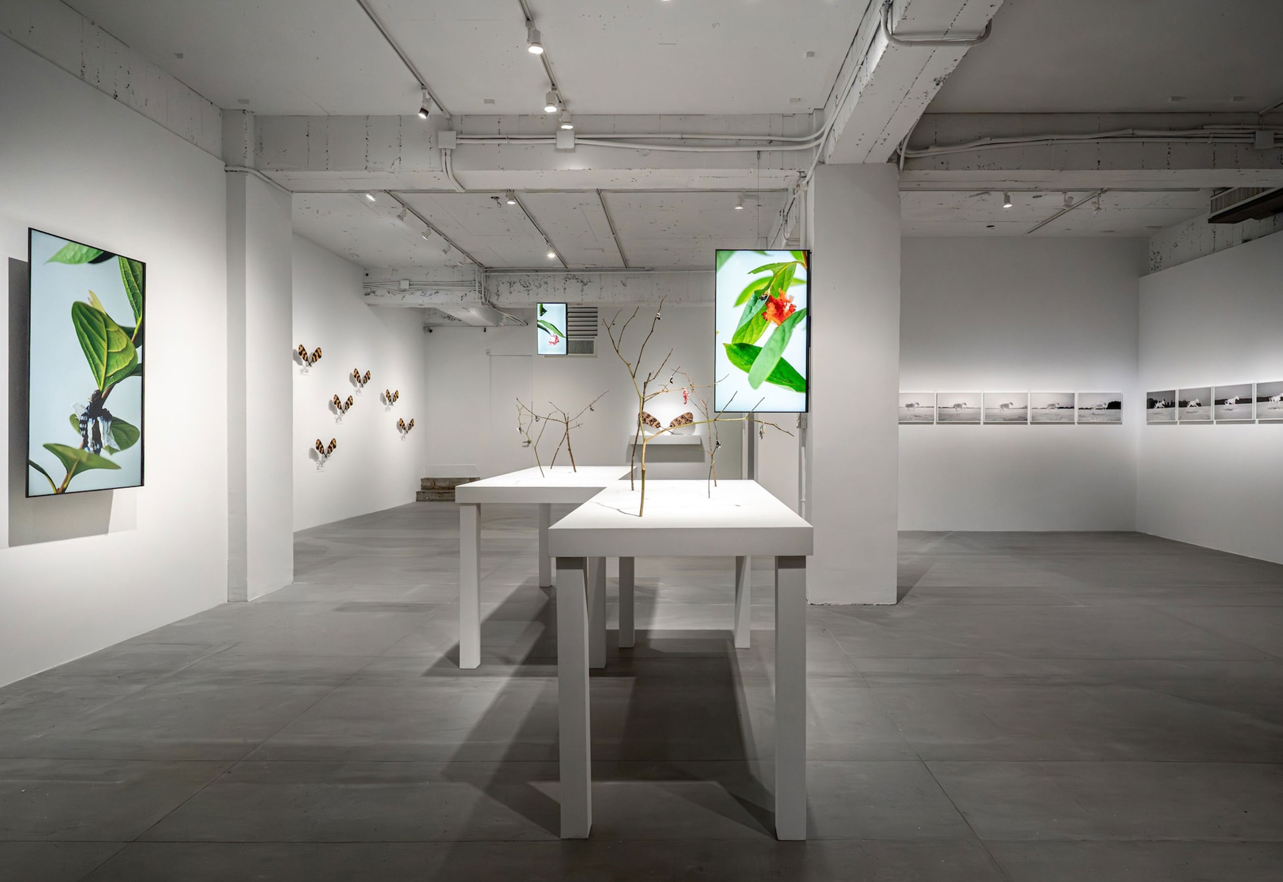 Exhibit: Life at the Threshold, 2025