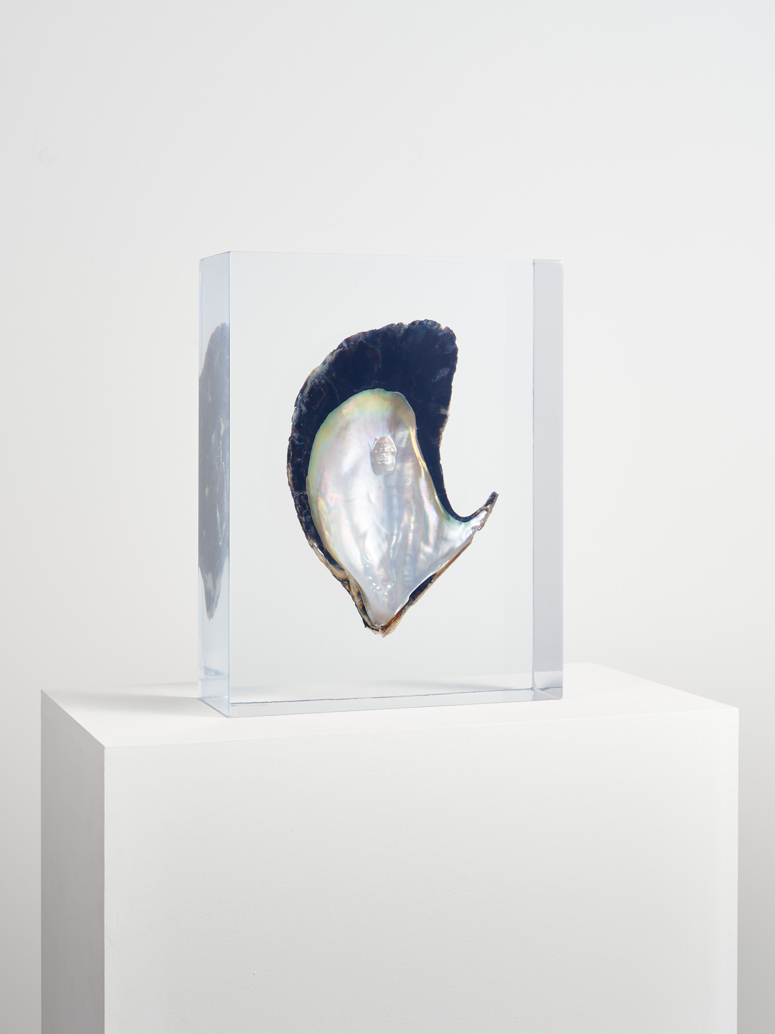 Installation view of Solo Exhibition “Memory of Currency”