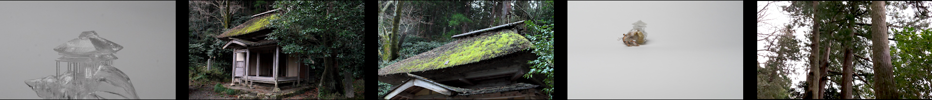 Why Not Hand Over a “Shelter” to Hermit Crabs? -Satoyama-