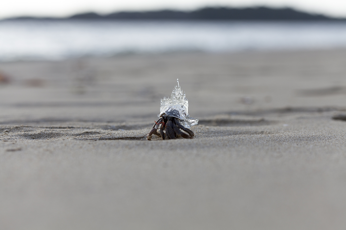 Why Not Hand Over a “Shelter” to Hermit Crabs? -White Chapel-